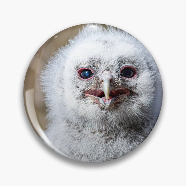 Item preview, Tawny Owl chick designed and sold by Norsewings.