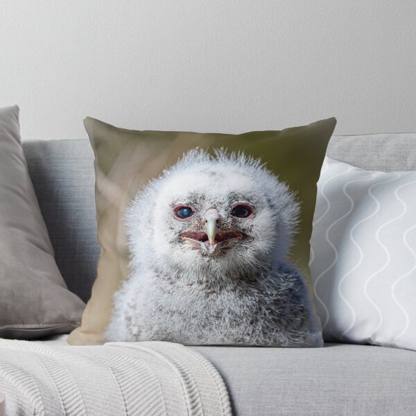 Item preview, Tawny Owl chick designed and sold by Norsewings.