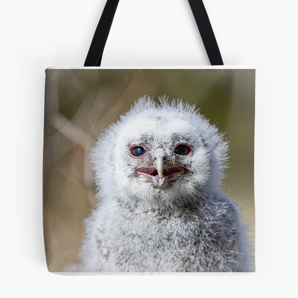 Item preview, Tawny Owl chick designed and sold by Norsewings.
