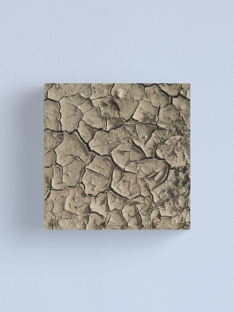 Cracked Clay Ground (Seamless Texture) Canvas Print for Sale by