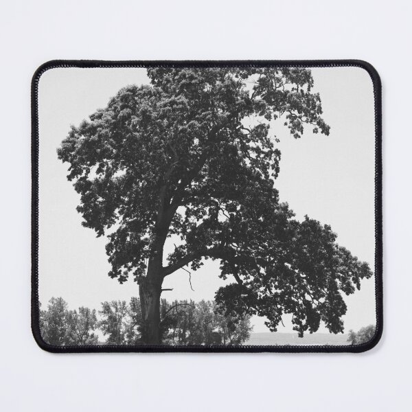 Item preview, I Have SEEN It ALL and More designed and sold by fototaker Tony.