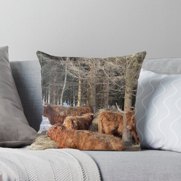 Item preview, Scottish Highland Cattle Cows 4357 designed and sold by SaarelaHighland.