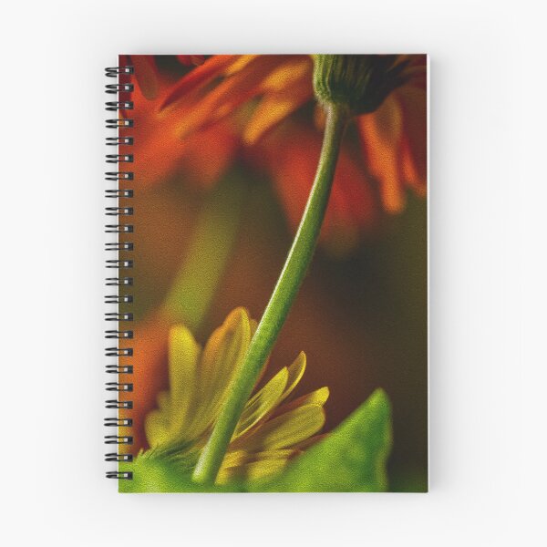 Item preview, Daisies designed and sold by DonnaMariePhoto.