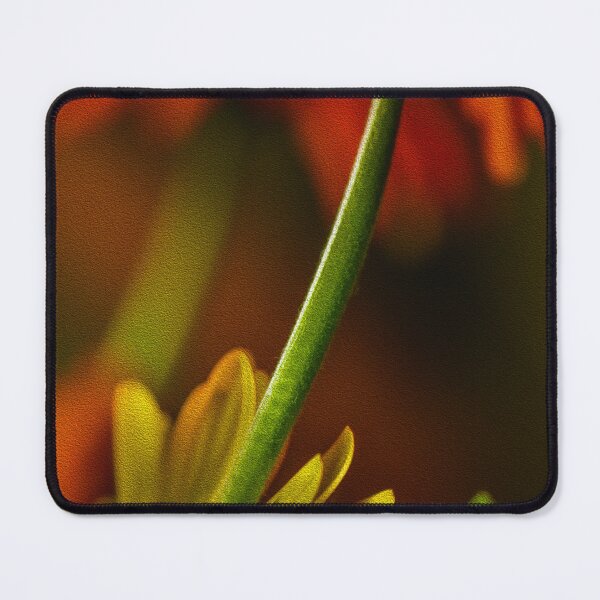 Item preview, Daisies designed and sold by DonnaMariePhoto.