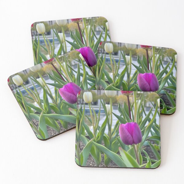 Item preview, Purple Tulip designed and sold by Stephanie Fay.
