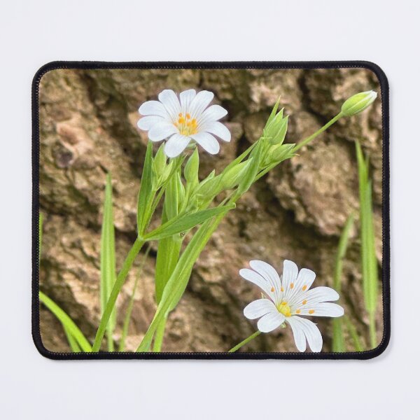 Item preview, Stitchwort  designed and sold by Tizz07.