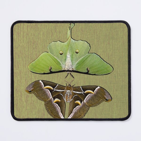 Item preview, Cynthia Moth Luna Moth Stamp designed and sold by UffdaGreg.