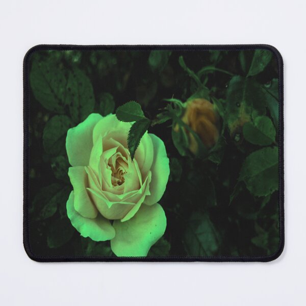 Item preview, Rose designed and sold by kinpirks.