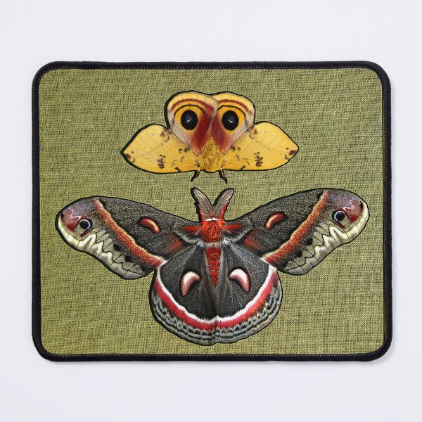 Item preview, Cecropia io moth Stamp designed and sold by UffdaGreg.
