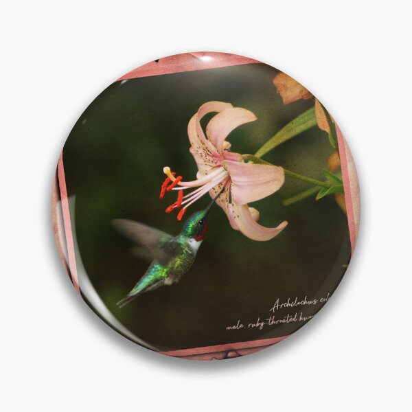 Item preview, Hummingbird Hovering designed and sold by UffdaGreg.