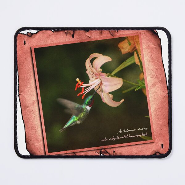 Item preview, Hummingbird Hovering designed and sold by UffdaGreg.