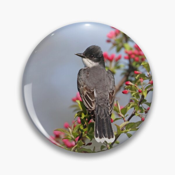 Item preview, Kingbird And Pink Blossom Buds designed and sold by Deb Oppermann.