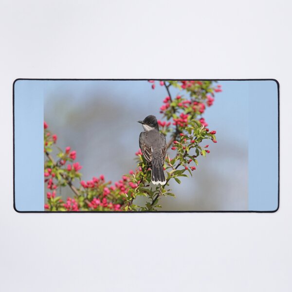 Item preview, Kingbird And Pink Blossom Buds designed and sold by Deb Oppermann.