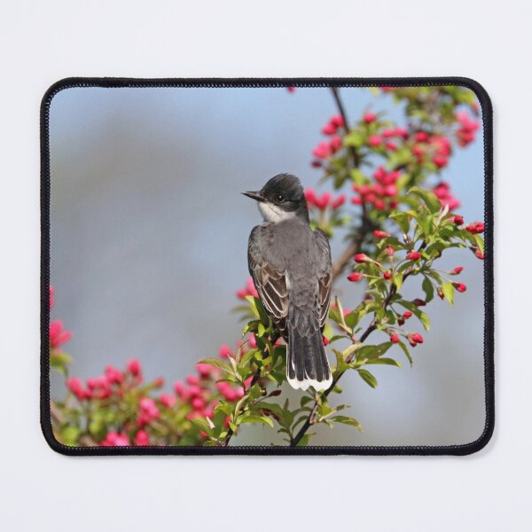 Item preview, Kingbird And Pink Blossom Buds designed and sold by Deb Oppermann.