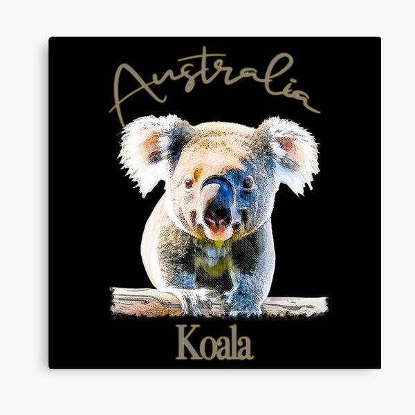 Australian Koala Canvas Prints for Sale