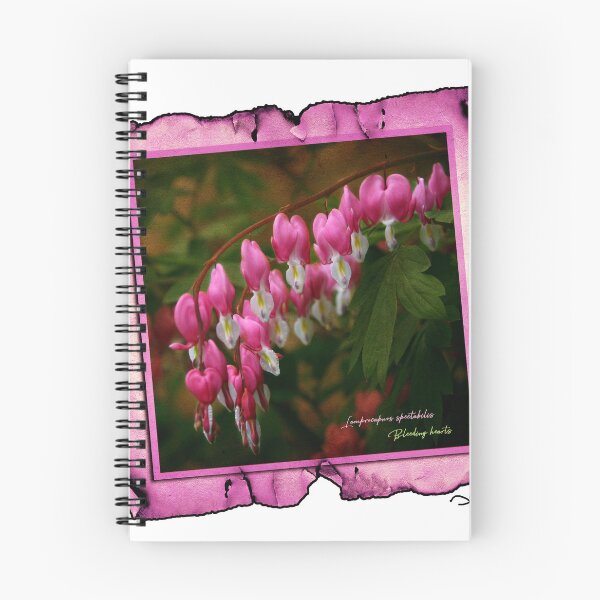 Item preview, Bleeding Hearts designed and sold by UffdaGreg.