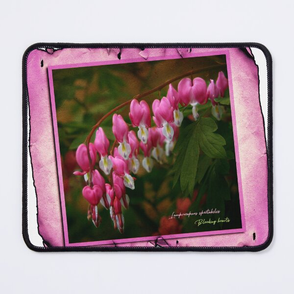 Item preview, Bleeding Hearts designed and sold by UffdaGreg.
