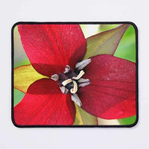 Item preview, Dark Red Trillium designed and sold by Deb Oppermann.