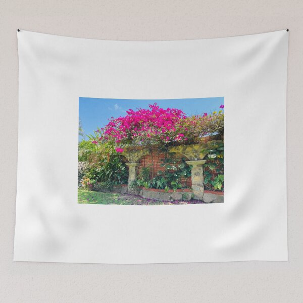 Item preview, Bougainvilleas in Guatemala  designed and sold by jlm8920.