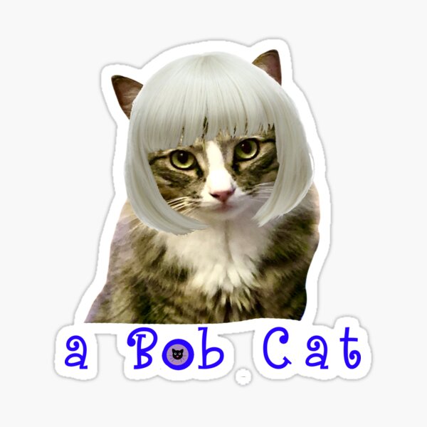 Cat Wearing A Wig Merch Gifts for Sale Redbubble