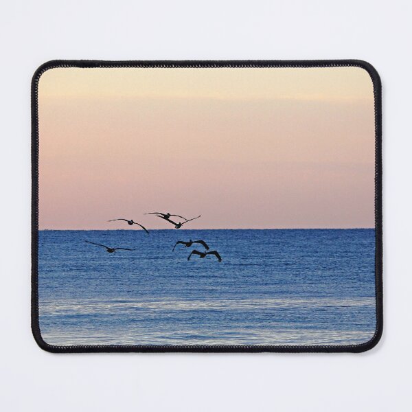 Item preview, Flying Low At Manasota Key designed and sold by Debbie Oppermann.
