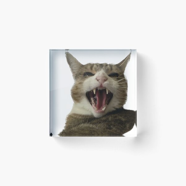 Item preview, Angry cat  designed and sold by pheebert23.