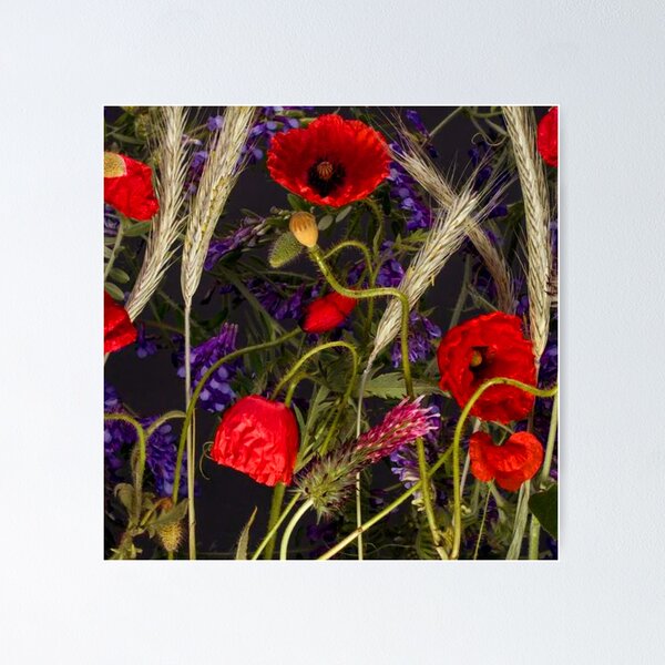 Item preview, Poppy designed and sold by Glossier Paris.