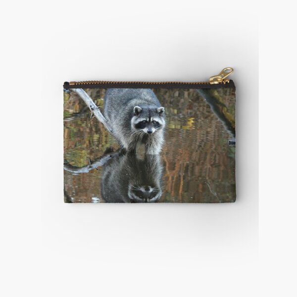 Item preview, Raccoon Testing the Water, Lost Lagoon, Stanley Park BC designed and sold by THurdCreations.
