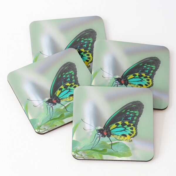 Item preview, Butterfly 17 designed and sold by Jacquiamber.