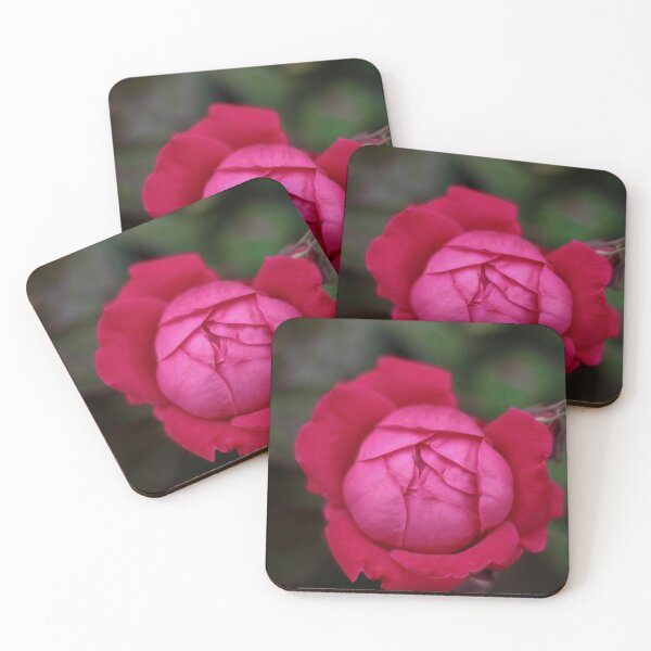 Item preview, Beautiful Rose in Almost Full Bloom. designed and sold by GenevievePages.