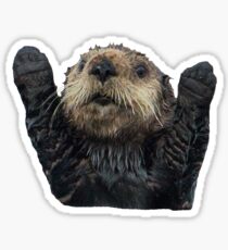Otter Hugs Sticker