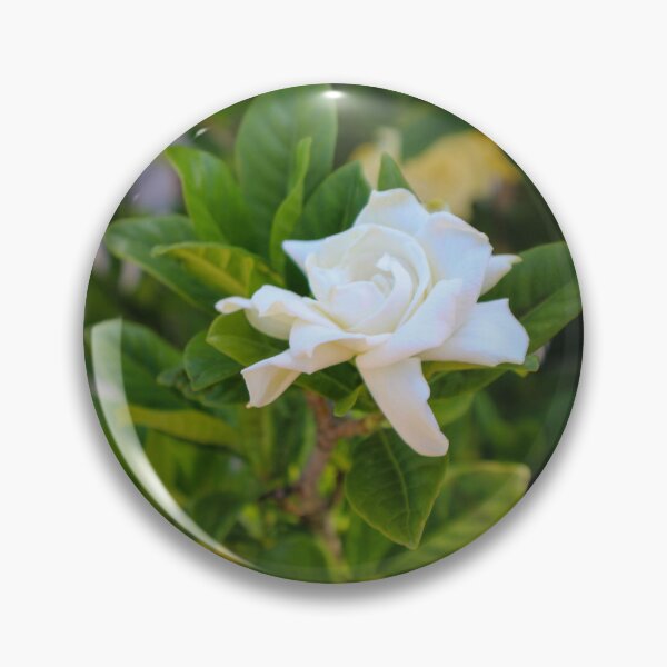 Item preview, Elegant White Gardenia: Fragrant Beauty in Bloom designed and sold by GenevievePages.