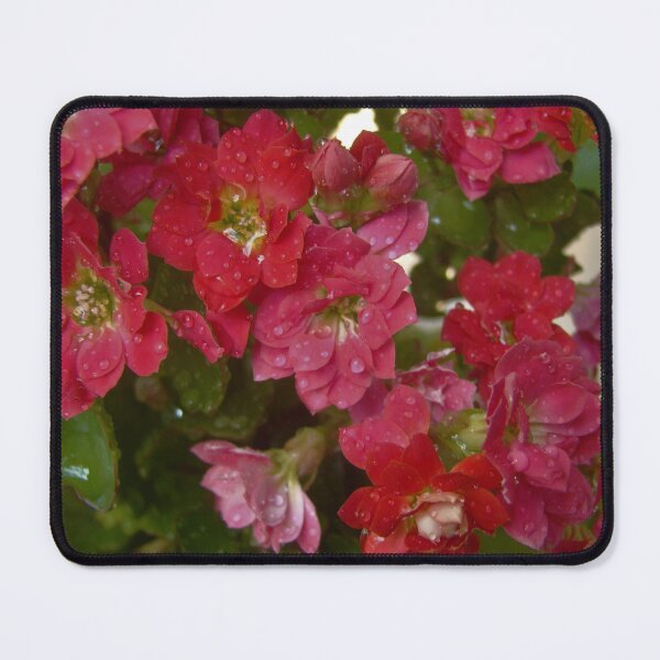 Item preview, Dew Drop designed and sold by AGODIPhoto.