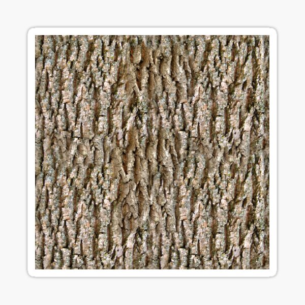Item preview, Oak Tree Bark (Seamless Texture) designed and sold by MasterJames.