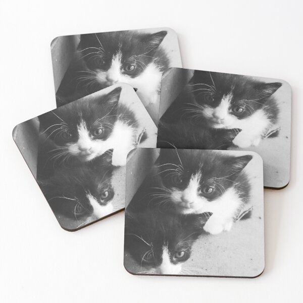 Item preview, Cat Cats Kitten  designed and sold by PokaYoke.