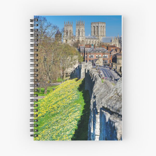 Item preview, York Minster Daffodils  designed and sold by Alisonchambers2.
