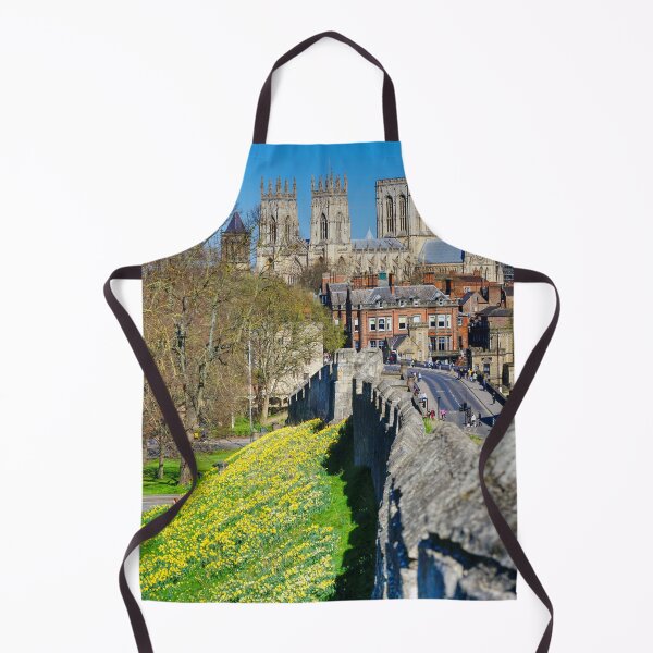Artikelvorschau, York Minster Narzissen entworfen und verkauft von Alisonchambers2.