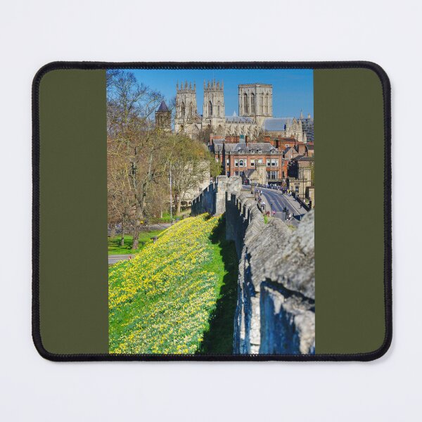 Item preview, York Minster Daffodils  designed and sold by Alisonchambers2.