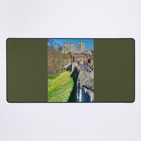 Item preview, York Minster Daffodils designed and sold by Alisonchambers2.