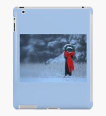 Festive rural mailbox iPad Case/Skin