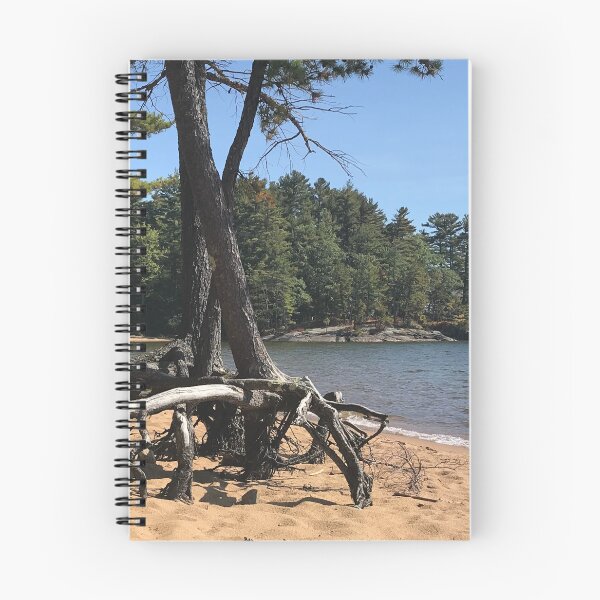 Item preview, Creeping tree, Sebago Maine designed and sold by Beccalla72.