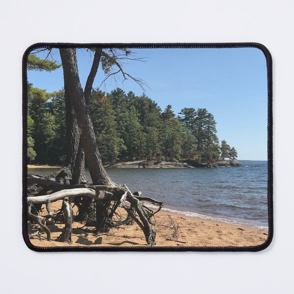 Item preview, Creeping tree, Sebago Maine designed and sold by Beccalla72.