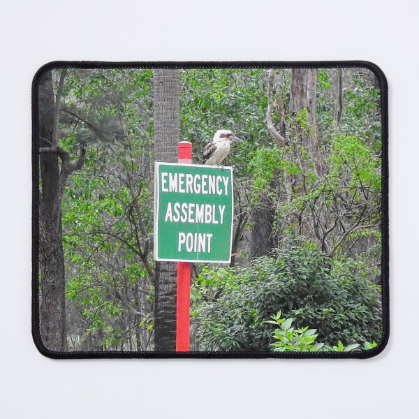 Item preview, Kookaburra ready to Evacuate designed and sold by AussieAl.