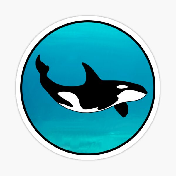 Item preview, Orca calmly swimming around designed and sold by Josep Zacarias.