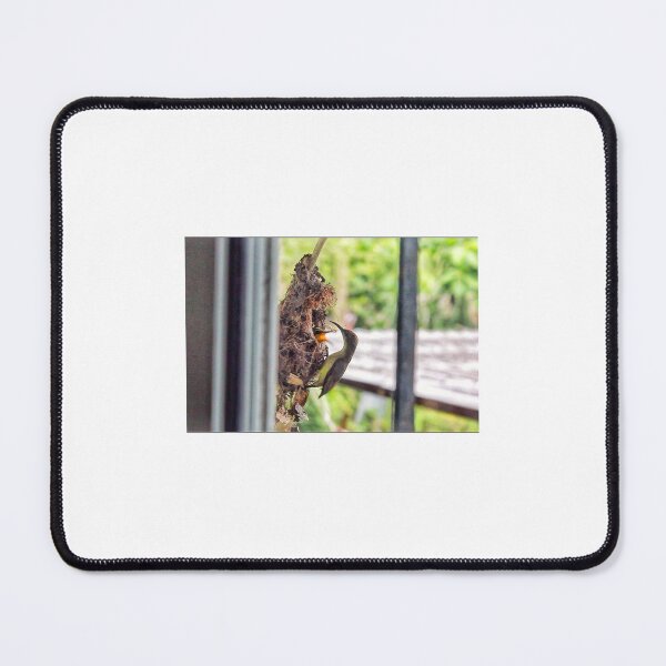 Item preview, Sunbird and baby on the view. designed and sold by Pattanapong Pongampai.
