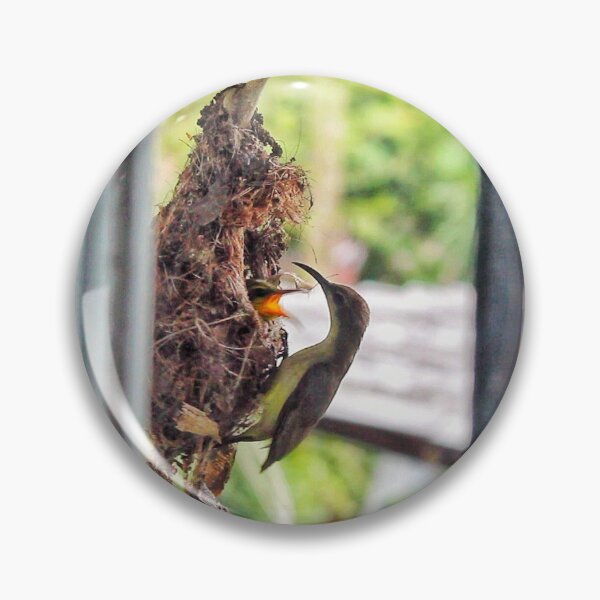 Item preview, Sunbird and baby on the view. designed and sold by Pattanapong Pongampai.