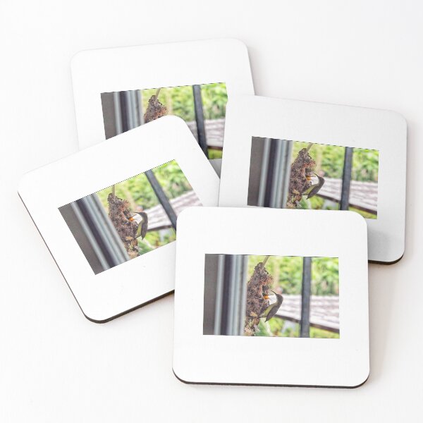 Item preview, Sunbird and baby on the view. designed and sold by Pattanapong Pongampai.