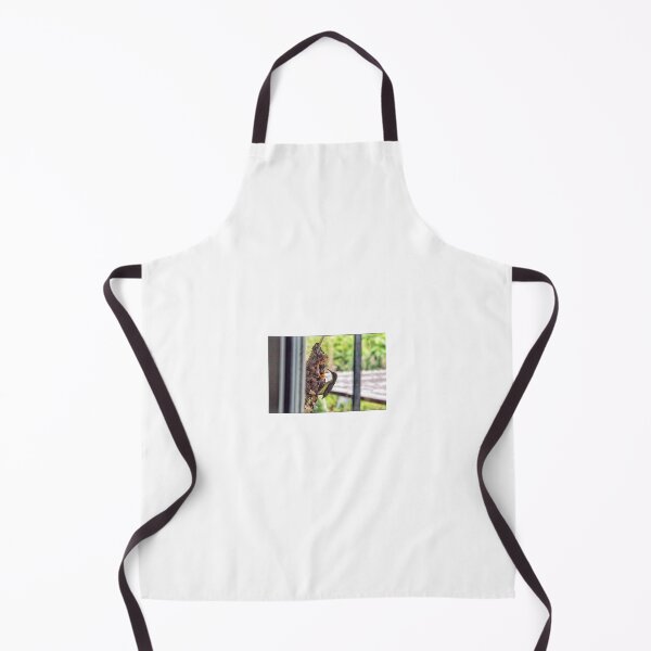 Item preview, Sunbird and baby on the view. designed and sold by Pattanapong Pongampai.