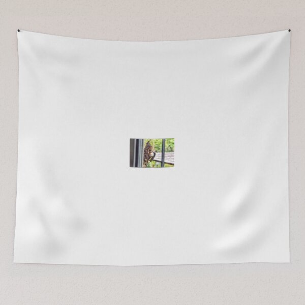 Item preview, Sunbird and baby on the view. designed and sold by Pattanapong Pongampai.