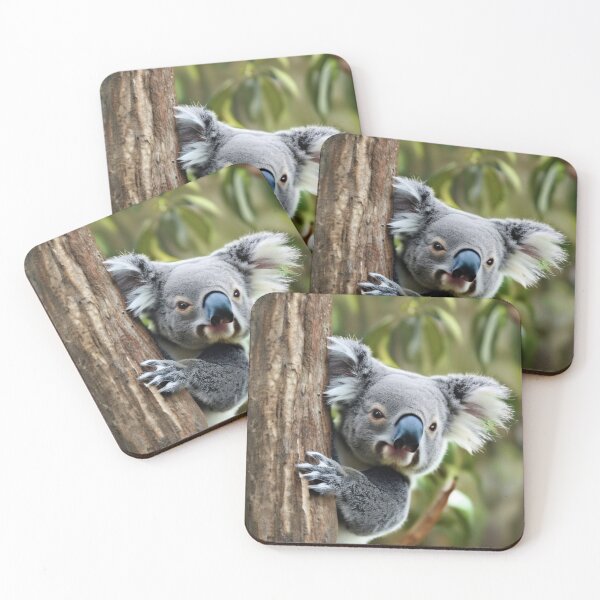 Item preview, The Koala Bear designed and sold by tpixx.